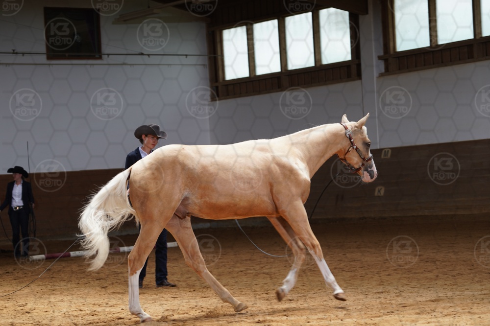 s_A9_04315.jpg